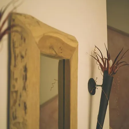 Villa-senta-apartment-9 * Kühlungsborn